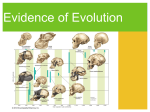 Evidence of Evolution