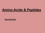 Amino Acids & Peptides