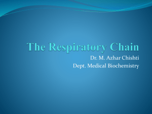 lec4.Respiratory chain.mac2010-09