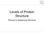 Amino acids & proteins part 2