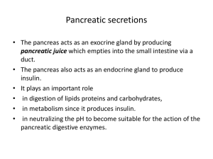 Pancreatic secretions
