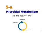 Microbial Metabolism