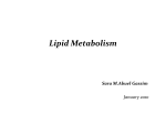 Lipid Metabolism