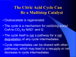 Further Details of Mechanism