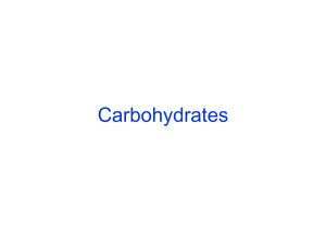 CLN Carbohydrat es part3