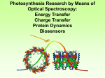Photosynthesis Research by Means of Optical Spectroscopy: Energy