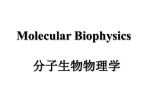 蛋白质结构基础(Introduction of Protein Structure)