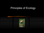 abiotic components - Southgate Schools