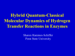 Mixed_Classical_Quantum_Molecular_Dynamics