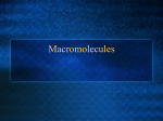 104371_Macromolecule_Basics