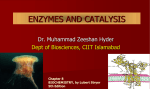 Enzymes