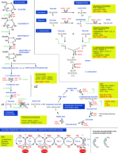 Lab 7 PPT - Dr Magrann