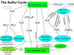 Sulfur - SOIL 5813