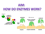 Enzymes