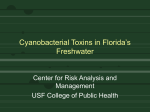 Cyanobacterial Toxins in Florida`s Freshwater - Home