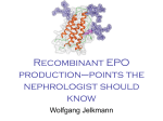 Recombinant EPO production–points the nephrologist should know