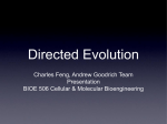 Directed Evolution Charles Feng, Andrew Goodrich Team