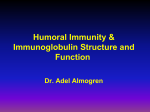 05-Humoral_Immunity__Ig_structure_and_func_2008