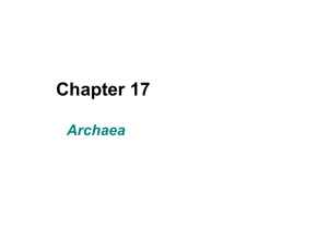 Archaea