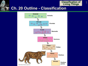 Classification - Cloudfront.net