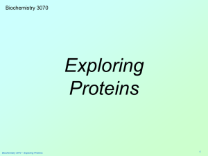 Exploring Proteins - Weber State University