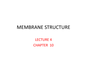 MEMBRANE STRUCTURE