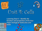 Unit 4: Cells