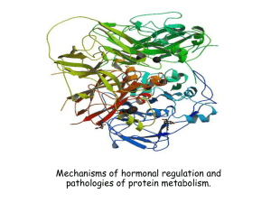 Mechanisms of hormonal regulation and pathologies of protein