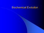 Biochemical Evolutdion