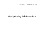 Manipulating Fish Behaviour