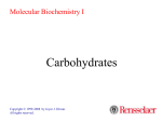 Carbohydrates - Home - KSU Faculty Member websites