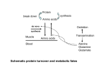 Amino acid catabolism I