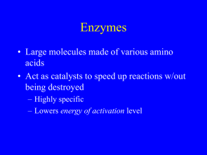 Enzymes