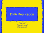 Chapter 25: Molecular Basis of Inheritance