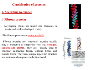 Fibrous proteins