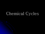 Chemical Cycles - My Teacher Site