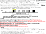 Answers to Quiz 7 BIol203 Fall 2013ppt