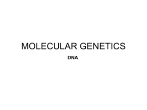 MOLECULAR GENETICS