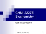 gene-expression-text
