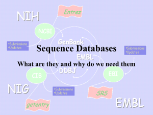 Databases_what_and_w..