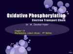 Q-cytochrome c oxidoreductase