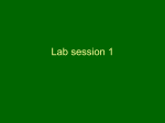 Lab session 1
