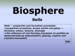 Soil profiles