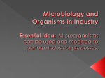 Microbiology: Organisms in Industry