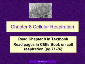 Chapter 8 Cellular Respiration