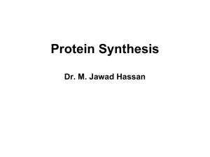 Protein Synthesis_MJH