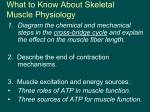 Diagram the chemical and mechanical steps in