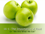 16-1 The Importance of Food