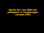 Epstein-Barr virus (EBV)