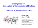 Protein Structure